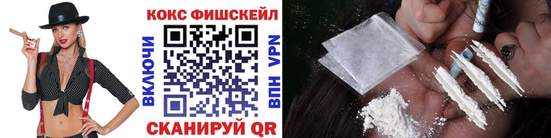 COCAIN Fish Scale  Купить  Елизово 