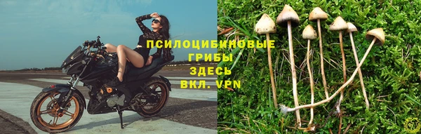 COCAINE Карпинск