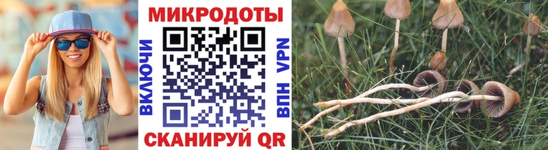 Галлюциногенные грибы прущие грибы  Купить  Елизово 